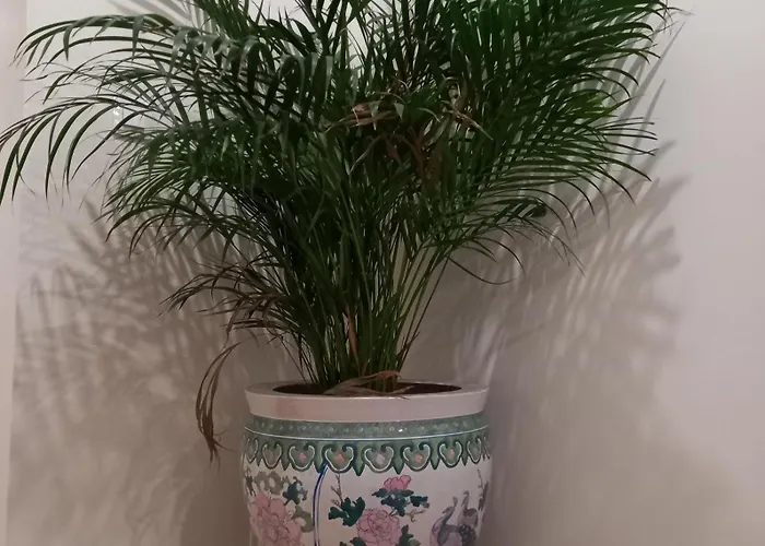 Chateau De La Renaudie Saint-Privat-des-Prés