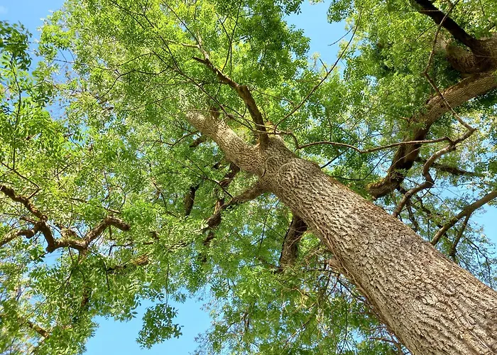 Chateau De La Renaudie 3* Saint-Privat-des-Prés